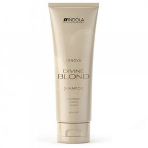 Восстанавливающий шампунь для светлых волос Divine Blond Shampoo 250 мл