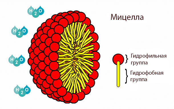 Что такое мицеллярный шампунь